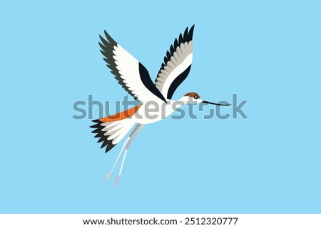 Avocet