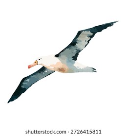 Ilustração vetorial dinâmica de um albatroz voando, ideal para conservação da vida selvagem, viagens ou projetos de design de vida marinha.