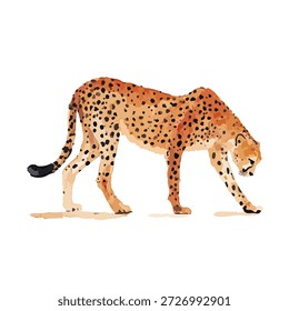 Dynamische Vektorgrafik eines Geparden-Spaziergangs, perfekt für Tierthemen, Safari-Designs oder pädagogische Inhalte. Einzeln für einfache Nutzung.