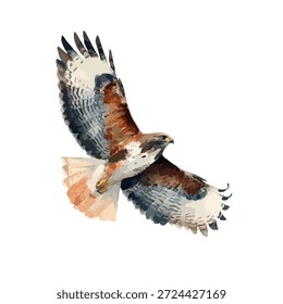 Ilustración vectorial dinámica de un majestuoso halcón volador, un poderoso pájaro de presa en vuelo. Ideal para diseños de vida silvestre o proyectos de naturaleza.