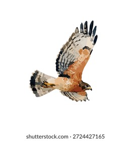 Ilustração vetorial dinâmica de um majestoso falcão em voo, perfeito para os conceitos de vida selvagem, natureza ou liberdade. Ideal para logotipos e projetos de design.