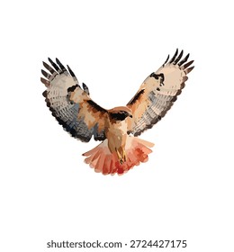 Dynamic vector illustration of a majestic hawk in flight, wings spread. Ideal for wildlife, nature, logo, or freedom-themed designs and branding.