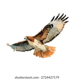 Dynamische Vektorgrafik eines majestätischen Falken im Flug, perfekt für Wildtiere, Natur und Freiheitskonzepte. Ideal für Logos oder Lehrinhalte.