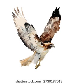 Dynamische Vektorgrafik eines majestätischen Falken in starkem Flug. Ideal für Tierdesigns, Naturthemen und pädagogische Inhalte. Einzeln.