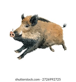 Dynamische Vektorgrafik eines laufenden Wildschweins, einzeln auf Weiß. Ideal für Wildtiere, Natur und Bildungsprojekte.