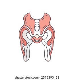 Dynamic Visualization of Greater Trochanter Anatomy