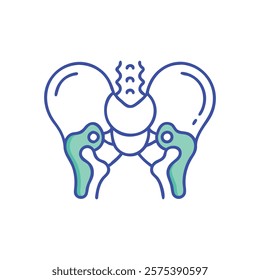 Dynamic Visualization of Hip Joint Anatomy