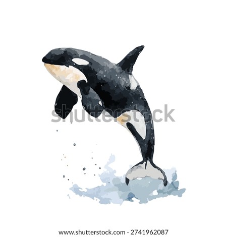 Dynamic watercolor orca jumping out of water with a splash. Majestic killer whale illustration, perfect for marine life, ocean conservation, and educational designs.