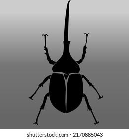 Dynastes hercules beetle vector illustration