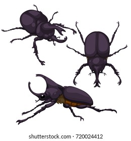 Dynastinae Or Rhinoceros Beetles Cartoon Set