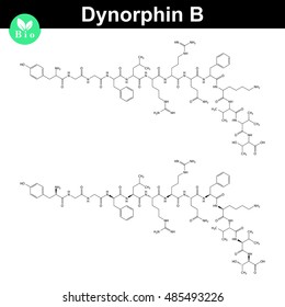 Dynorphin B chemical structure, endogenous opioid compound, 2d chemical vector icon, isolated on white background, eps 8