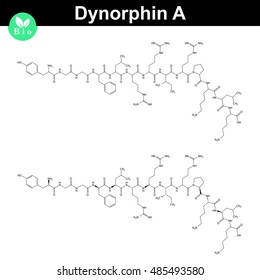 Dynorphin A chemical structure, endogenous opioid compound, 2d chemical vector icon, isolated on white background, eps 8
