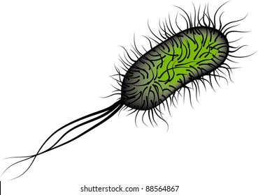 3,336 E. Coli Images, Stock Photos & Vectors | Shutterstock