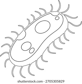Ilustración de la Ciencia de la bacteria E. Coli