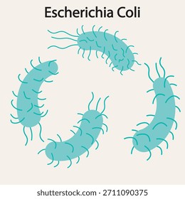 Ilustración vectorial por E. coli O157 que muestra la fuente de contaminación, síntomas como diarrea, calambres, vómitos y complicaciones; se asemeja a las infecciones por Shigella y Salmonella