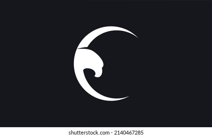 E Eagle design vector icon logo