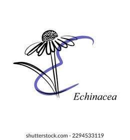 E - Echinacea. ABC with flowers. Series of letters A-Z. Images of plants. Minimalism. Beautiful letters. Line drawing. logo design initial E combine with flowers.