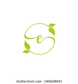 E letter nature leaf  design vector