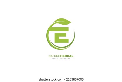 E logo leaf for identity. nature template vector illustration for your brand.