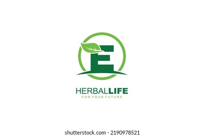 E logo leaf for identity. nature template vector illustration for your brand.