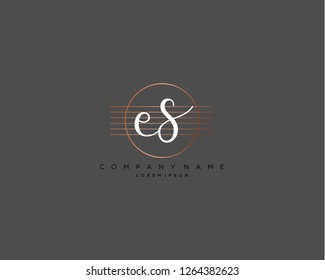 E S initial handwriting logo vector