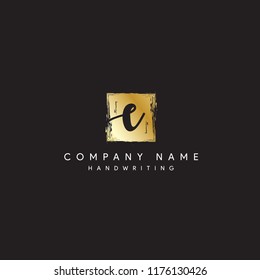 E signature logo 