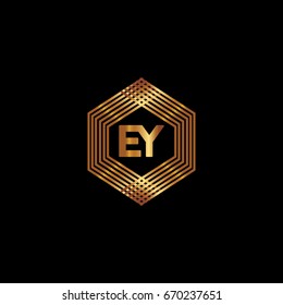 E Y Logo