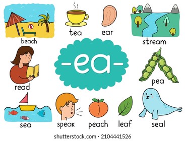 Ea Digraph Spelling Rule Educational Poster For Kids With Words. Learning Phonics For School And Preschool. Phonetic Worksheet. Vector Illustration