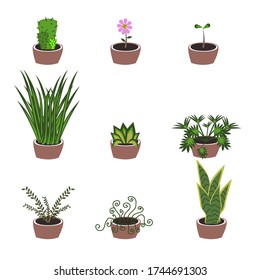 Each tree type and shape is different