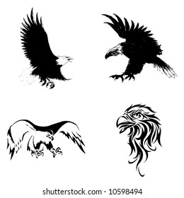 Eagle