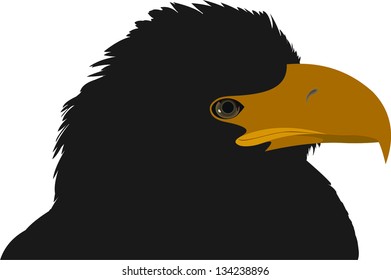eagle