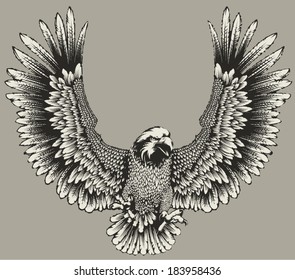 Eagle