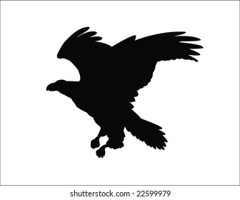 eagle