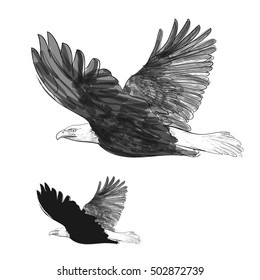 Eagle