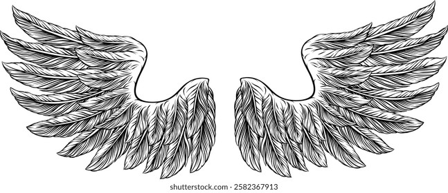 Eagle, angel or similar wings in a tattoo illustration vintage woodcut etching style