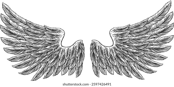 Eagle, angel or similar wings in a tattoo illustration vintage woodcut etching style