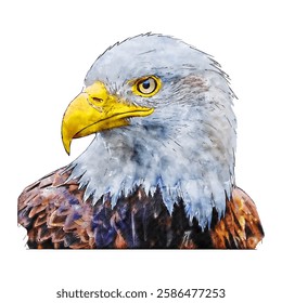 Eagle animal watercolor sketch hand drawn illustration isolated white background