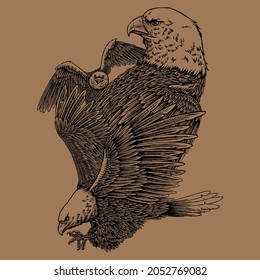 Eagle Art Design Detail For Coloring Page