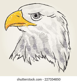Eagle art sketch