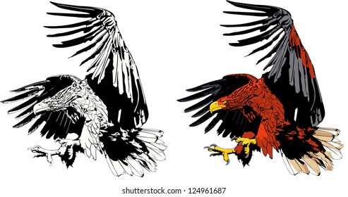 eagle attack