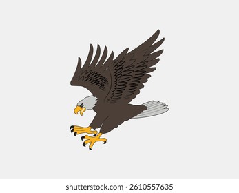Eagle in Attack Pose – Wildlife Vector Art