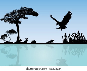 Eagle attack rabbits