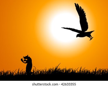  eagle attacking mouse