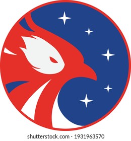 Eagle badge, red blue and white colors with stars