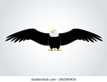 Eagle With Big Wing Span, Good Concept For Ads Leaflet And Other Promotional Material. Good For Logo Concept