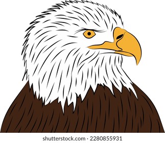 Eagle bird animal vector illustration