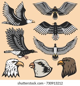 Eagle bird cartoon flying animal silhouette vector illustration of tattoo graphic