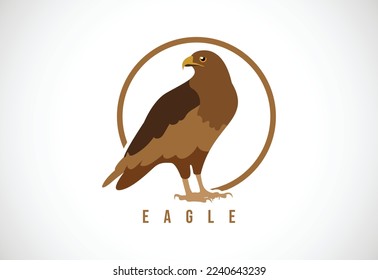 Eagle bird in a circle. Eagle bird logo design template vector illustration