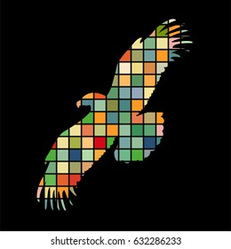 Eagle bird color silhouette animal