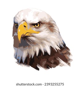 Eagle bird face vector illustration 